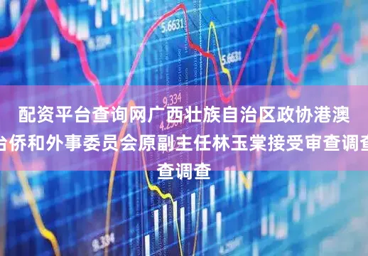 配资平台查询网广西壮族自治区政协港澳台侨和外事委员会原副主任林玉棠接受审查调查
