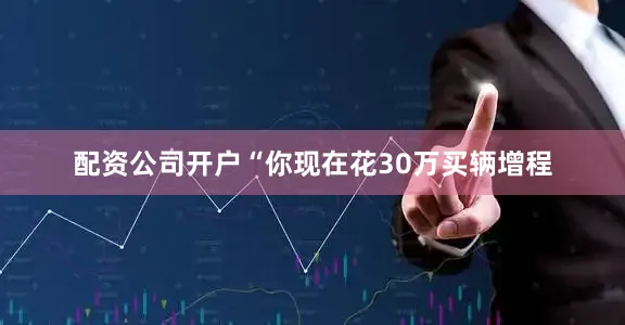 配资公司开户“你现在花30万买辆增程