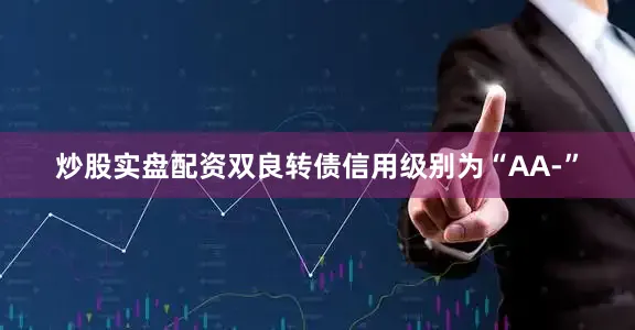 炒股实盘配资双良转债信用级别为“AA-”