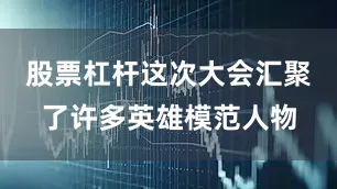 股票杠杆这次大会汇聚了许多英雄模范人物