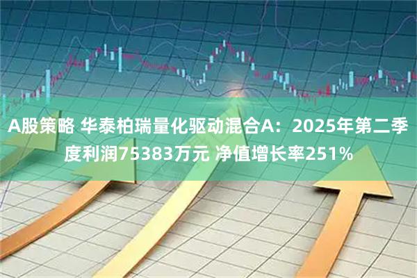 A股策略 华泰柏瑞量化驱动混合A：2025年第二季度利润75383万元 净值增长率251%