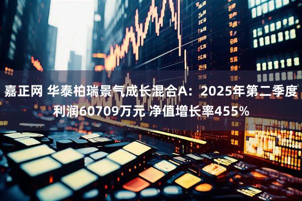 嘉正网 华泰柏瑞景气成长混合A：2025年第二季度利润60709万元 净值增长率455%