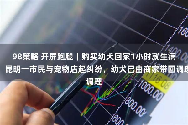 98策略 开屏跑腿｜购买幼犬回家1小时就生病，昆明一市民与宠物店起纠纷，幼犬已由商家带回调理