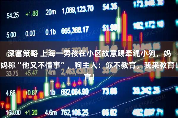 深富策略 上海一男孩在小区故意踢牵绳小狗，妈妈称“他又不懂事”，狗主人：你不教育，我来教育！