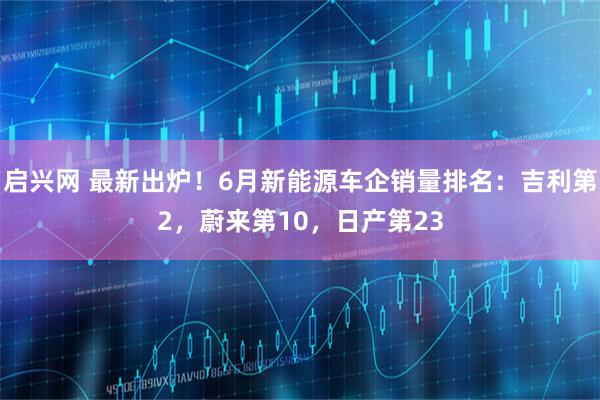 启兴网 最新出炉！6月新能源车企销量排名：吉利第2，蔚来第10，日产第23